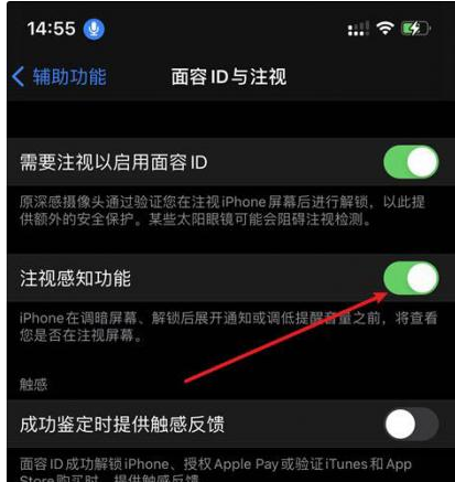 坦洲镇苹果14维修网点分享iPhone14注视感知功能有什么用 